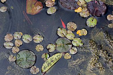 真人互动影游《扫毒风暴》预告：8月8日发售 售价36元
